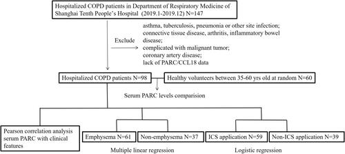 Figure 1 The flowchart of this study.