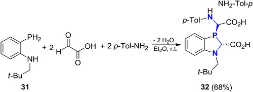 Scheme 20. Reaction of N-neopentyl-2-phosphinoaniline with glyoxylic acid and p-toluidine.[Citation86]