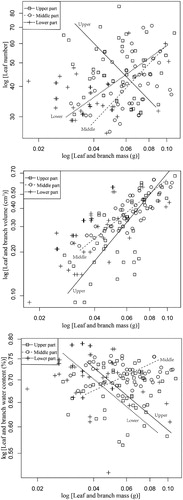 Figure 3. Allometric relationships between leaf number, leaf-and-branch volume, and leaf-and-branch water content with leaf-and-branch dry mass of M. laxiflora along different water level gradients. Allometric relationship between leaf traits differs among water level gradients.