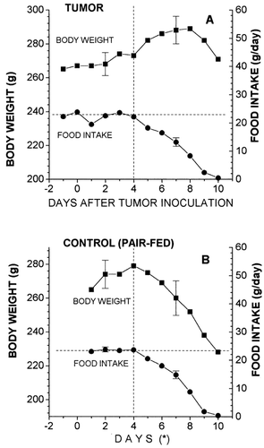 Figure 1. Changes in food intake and body weight in rats that received multifocal simultaneous inoculations of the Walker-256 tumor (A), and in pair-fed controls (non-tumor bearers) (B). The points are the mean±SEM of x-y rats/group. Paired t-test on body weight data (day 7 vs day 4): tumor group = +5.5 ± 0.9%, p < 0.001; pair-fed group = −7.0 ± 1.4%,p < 0.01. (*) For pair-fed controls, day 5 was actually the first day in which food was restricted in this group of rats.