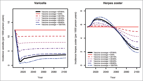 Figure 5. Effects of different varicella vaccination coverage rates over time (coverage for first/second dose) on varicella (left) and HZ (right) incidence.