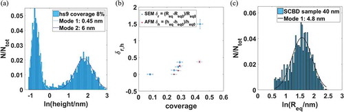 Figure 8. Dimensional analysis of cluster-assembled gold film. From left to right: histogram in logarithmic scale of the height of the clusters measured by AFM of sub-monolayer sample (coverage 8%). (b) relative island heights (measured by AFM) and the relative radius (measured from SEM micrographs) as a function of the coverage. (c) histogram of the equivalent radius of the grains obtained segmenting a SEM micrograph of the film 60 nm thick, in logarithmic scale. Adapted from [Citation42]