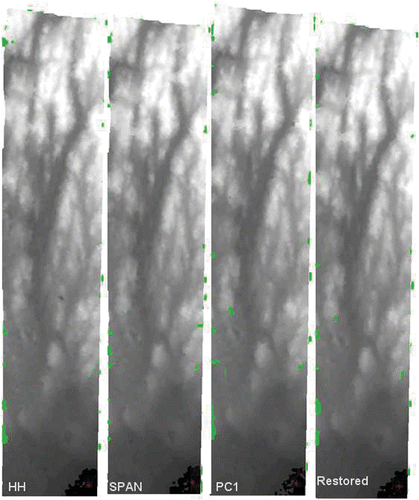 Figure 6. The four stereo-radargrammetric DEMs (15 by 30 km; 10 by 5 m pixel spacing) extracted from HH, SPAN, PC1 and Restored FQ5–FQ18 polarimetric images.
