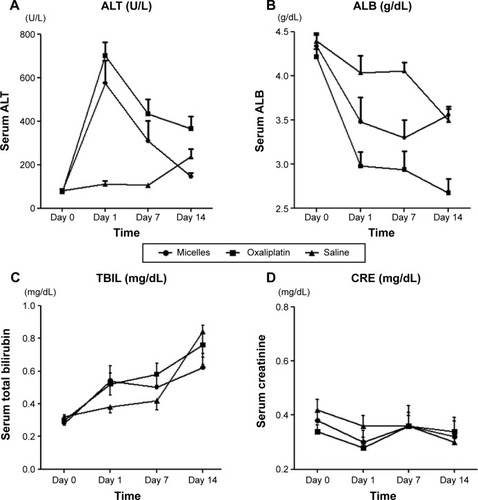 Figure 9 Blood test results.Notes: (A) Alanine aminotransferase levels were increased after injection with both the micelles and oxaliplatin; however, more severe increases in alanine aminotransferase levels were observed after injection with oxaliplatin. (B) In the micelle-treated rats, blood albumin levels were decreased on days 1 and 7 and increased on day 14. In contrast, in the oxaliplatin-treated rats, blood albumin levels were markedly decreased until day 14. (C) Total bilirubin levels were not affected by either treatment. (D) Creatinine levels did not increase in all three groups.Abbreviations: ALB, albumin; ALT, alanine aminotransferase; CRE, creatinine; TBIL, total bilirubin.