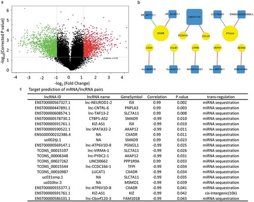 Figure 5. Target prediction of deregulated mRNA/lncRNA pairs in acid-adapted SW620 cells (a) Volcano plot showing the lncRNA expression profile in SW620-NA and SW620-AA cells. (b) The significantly correlated mRNA/lncRNA pairs among which the mRNAs were validated by RT-PCR to be dramatically deregulated. (c) The top 20 predicted mRNA/lncRNA pairs in which the mRNA might be the target of the lncRNA according to the fold change of mRNA