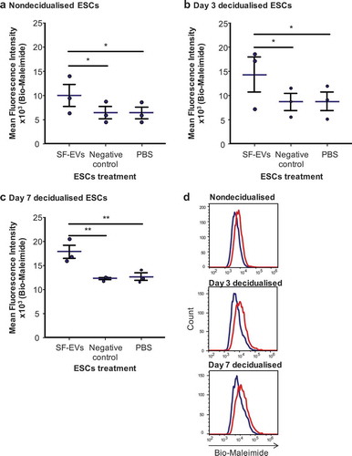 Figure 3. Flow cytometric analysis of SF-EV binding to primary ESCs (a) nondecidualised, (b) day 3 and (c) day 7 decidualised ESCs were incubated with bio-maleimide-labelled SF-EVs (5 × 1010 SF-EVs/106 cells), PBS or the negative control for 2 h and then analysed by flow cytometry. Bars represent mean ± SEM. *p < 0.05, **p < 0.01. (d) Representative flow cytometry histogram overlay image of SF-EV binding to primary ESCs on non-decidualised, day 3 and 7 decidualised ESC (blue line = PBS control; red line = + SF-EV).