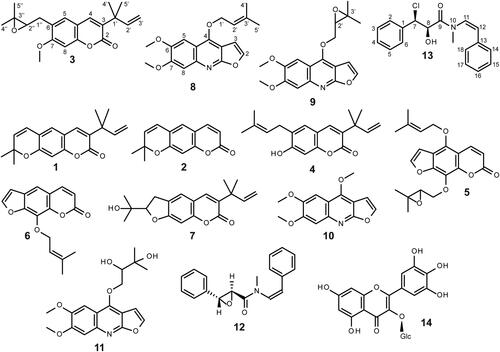 Figure 1. Structural formulae of the isolated compounds from Clausena lenis (1–14). 3-(1,1-dimethylallyl) xanthyletin (1), xanthyletin (2), gravelliferone A (3), gravelliferone (4), 5-isopentenyloxy-8-(2',3'-epoxyisopentenyloxy)-psoralen (5), imperatorin (6), heliettin (7), kokusagenin A (8), kokusagenin B (9), kokusagenin (10), 1-[(6,7-dimethoxyfuro[2,3b]quinolin-4-yl)oxy]-3-methylbutane-2,3-diol (11), (2S*,3R*)-N-methyl-N-[(Z)-styryl]-3-phenyloxirane-2carboxamide (12), clausenalansamide H (13) and myricitrin (14).