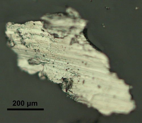 Figure 3. Photograph of a wear particle collected at the end of the curve after 36 train passages.