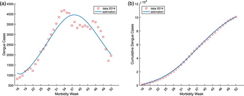 Figure 6. The reported dengue cases by morbidity week and cumulative sum in the Philippines from week 16 to 52 of 2014 and the corresponding model identification. (a) The reported 2014 Philippine dengue cases by morbidity week and the model estimation. (b) The reported 2014 cumulative Philippine dengue cases and the model estimation.