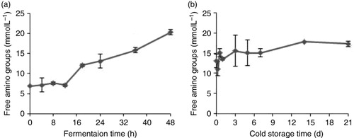 Figure 1. Evolution of free amino groups in the reconstituted skimmed milk during the fermentation by Lactobacillus rhamnosus GG (a) and cold storage at 4°C after fermentation for 24 h (b).