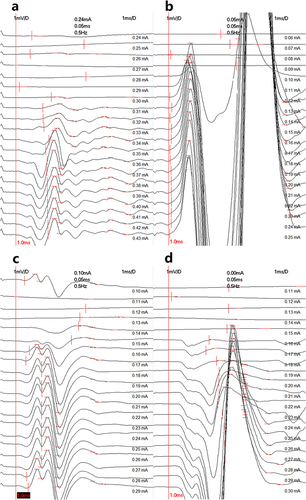 Figure 6 H-reflex in rats between groups. (a) Non-MTrPs and sympathetic blockade modelling (b) Non-MTrPs and no sympathetic blockade modelling (c) MTrPs and sympathetic blockade modelling (d) MTrPs and no sympathetic blockade modelling.