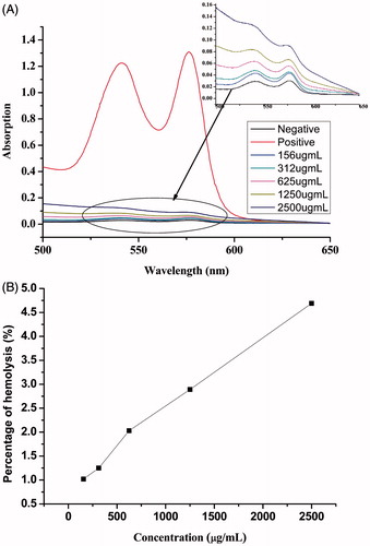 Figure 7. (A) Hemolysis test UV spectrum of different concentration of LMP, normal saline (negative control), and distilled water (positive control) and (B) percentage of hemolysis of different concentration of LDMP-2.