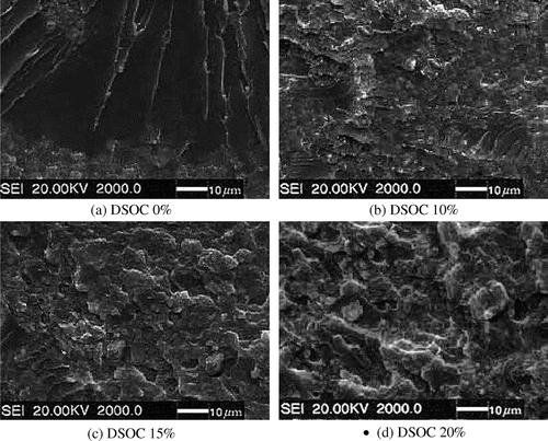 Figure 5. SEM morphologies of fracture surface after impact testing.