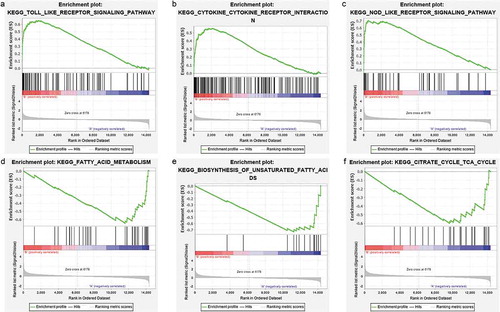 Figure 7. GSEA plots showing the most enriched gene sets of all detected genes in the obese subjects before and after bariatric surgery in the GSE29409 dataset. The top 3 most significant up-regulated enriched gene sets in the before bariatric surgery group: (a) toll-like receptor signalling pathway, (b) NOD-like receptor signalling pathway, (c) cytokine-cytokine receptor interaction. The top 3 most significant up-regulated enriched gene sets in the after bariatric surgery group: (d) fatty acid metabolism, (e) biosynthesis of unsaturated fatty acids, (f) citrate cycle (TCA cycle)