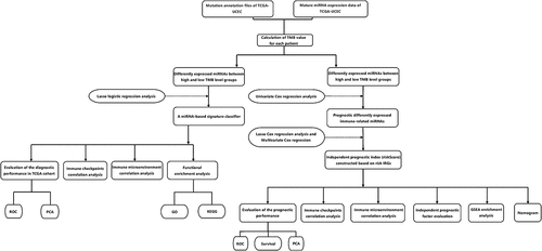 Figure 1. Flow Chart of this research