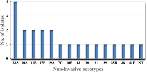 Figure 2 Distribution of Streptococcus pneumoniae serotypes isolated from non-invasive pneumococcal diseases at Addis Ababa and Amhara Region Referral Hospitals, Ethiopia, 2018–2019.