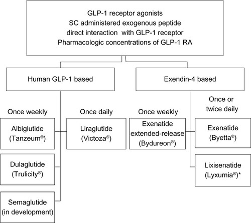 Figure 1 GLP-1-receptor agonists currently approved and in development.