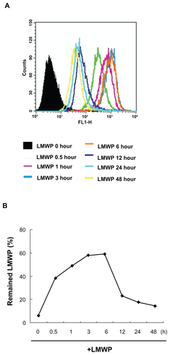 Figure S2 Transduction ability of LMWP into DPSCs. FITC-labeled LMWP (2 μM) was incubated for various time intervals. After incubation of the cells with FITC-labeled LMWP, the cells were washed twice with phosphate-buffered solution and incubated with 1% trypsin-ethylenediamine tetra-acetic acid for 10 minutes. After incubation, the cells were washed twice with phosphate-buffered solution and immediately observed by flow cytometry. (A) FACS analysis of the LMWP which had penetrated into the cells. (B) Penetration level of LMWP.Notes: Each bar represents the mean ± standard error of the mean obtained from four experiments. Three independent experiments were performed in duplicate.Abbreviations: FITC, fluorescein isothiocyanate; LMWP, low molecular weight protamine; SOD1, superoxide dismutase; DPSCs, human dental pulp stem cells.