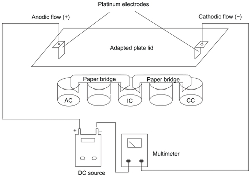 Figure 1 Schematic representation of the in vitro system used for DC treatment of B16F10 cells. The cell suspensions are distributed over each individual well and connected to a positive pole (AF) and negative pole (CF). An intermediary well, namely electroionic flow (FEI), is connected to the other wells by filter paper bridges moistened with phosphate saline buffer. Platinum electrodes are inserted into the AF and CF poles, allowing the system to be connected to a DC source and an amperimeter to monitor DC intensity. This distribution permits the separate exposure of cells to cathodic and anodic reactions, and to the DC (FEI). Control cells are exposed to the same conditions, except for the use of DC. Internal volume of each well is 0.84 cm3. The distance between the electrodes was 8 cm, and an electric field of approximately 2.5 V/cm was generated.