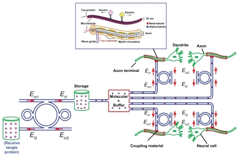 Figure 1 Schematic diagram of molecular star network, comprising four nanodevices before reaching the neuronal cells.