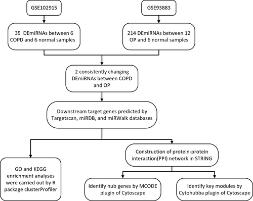 Figure 1 Flow diagram of the study design.