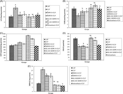 Figure 3. Effect of DDWs and ML on oxidative stress/antioxidant parameters in sepsis; (A) LP, (B) GSH, (C) GST, (D) FRAP and (E) MPO. ap < 0.05 is considered significantly between LAP group and CLP group. bp < 0.05 is considered significantly between CLP group and treated groups. cp < 0.05 is considered significantly between DDWs treatment groups with DDW+ML groups. Data are presented as mean ± SD. *These data are presented here in order to make a new compression among treatment groups (Fatemi et al. Citation2019).