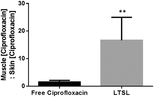 Figure 8. Specificity of drug delivery shown by relative ciprofloxacin concentration in rat superficial/deep thigh muscle as compared to adjacent muscle following treatment either with free ciprofloxacin or LTSL + MR-HIFU at a dose of 10 mg/kg ciprofloxacin. Data are shown as ratio of muscle (ciprofloxacin):skin (ciprofloxacin) with standard error of mean (n = 3). **p < 0.05.