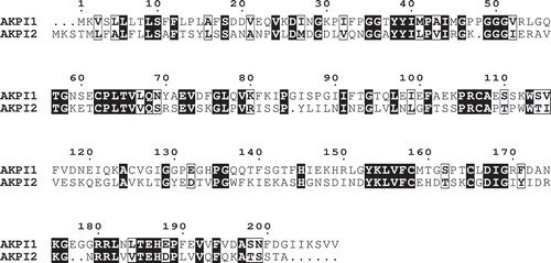 Figure 3. Amino acid sequence comparisons of AKPI1 with AKPI2.The alignment was done using CLUSTALW and ESpript 3.0. Similar residues are highlighted with boxes. Strictly conserved residues are highlighted with boxes with gray shading.