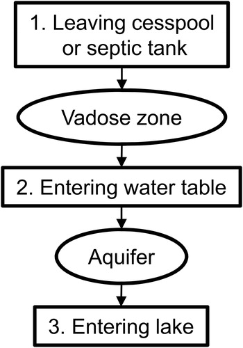 Figure 1. Model overview, illustrating the three stages of the model for a conventional septic system.