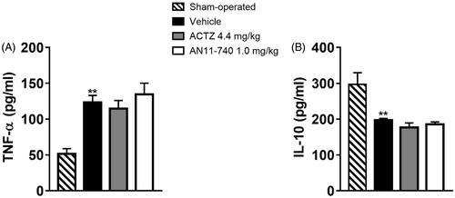 Figure 9. Effect of sub-chronic treatment with ACTZ and AN11-740 on TNF-α (A) and IL-10 (B) plasma levels. Results are expressed as pg of protein/ml of plasma and values are mean ± SEM. One-way ANOVA followed by Newman–Keuls post hoc test: **p < 0.01 vs. sham-operated rats.