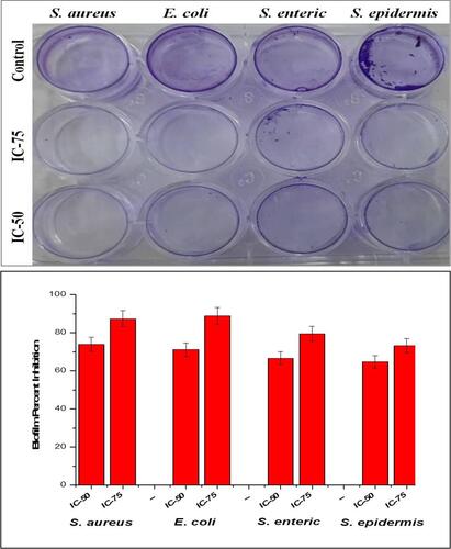 Figure 4 Image and graph showing inhibition of biofilm formation of silver nanoparticles. All the data were expressed in the mean ±SD of three experiments.