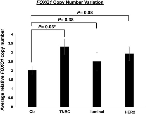 Figure 4 FOXQ1 has more copies in TNBC compared to control samples. qPCR experiments were conducted on genomic DNA to measure FOXQ1 dosage in TNBC, luminal, and HER2 BC patient tumor tissues. The ΔCT method was used for analysis and GJA5 was used as a reference gene. FOXQ1 dosage was calculated using 2 [ΔCT sample – ΔCT control]. Control (Ctr) samples are normal breast tissue samples acquired from reduction mammoplasties. Ctr (n=6), TNBC (n=6), luminal (n=6), and HER2 (n=6). Two-tailed unpaired Student’s t-tests were used for comparisons of each BC subtype with normal breast tissue to assess statistical differences. Error bars represent standard error of the mean (SEM). *p<0.05.