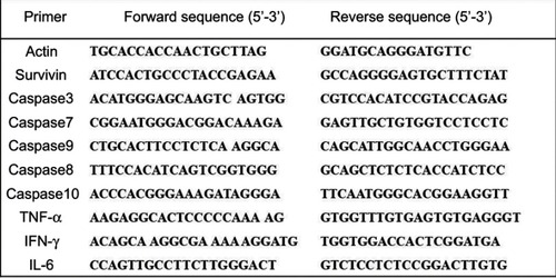 Figure S1 Primer sequences.