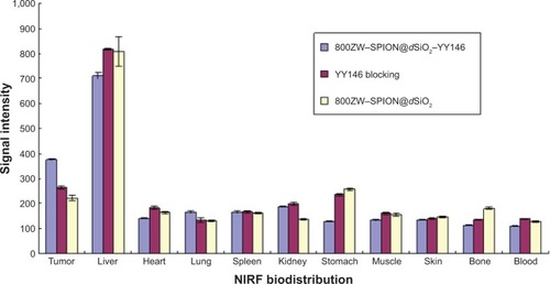 Figure 7 Biodistribution analysis.Notes: The MKN45 tumor uptake of 800ZW–SPION@dSiO2 after 48 hours pi was found to be significantly lower than that of 800ZW–SPION@dSiO2–YY146 at those time points examined, indicating that YY146 conjugation was the controlling factor for enhanced tumor uptake of 800ZW–SPION@dSiO2–YY146 (P<0.05).Abbreviations: SPION, superparamagnetic iron oxide nanoparticles; pi, postinjection; NIRF, near infra-red fluorescence.