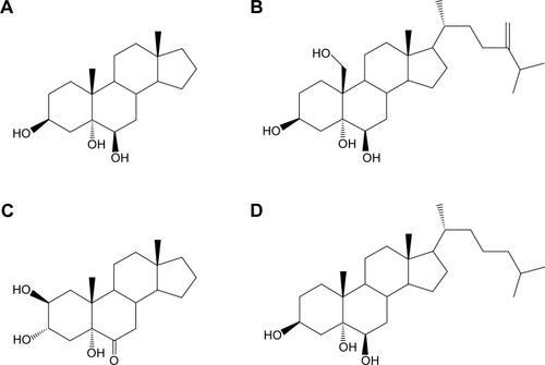 Figure 1 Molecular structures of synthesized sterols.