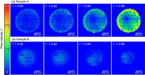 Figure 5. Time series images of samples A and B with visualized arrows of flow velocity fields by the PIV analysis. The arrows indicate only the direction of the flow velocity beyond the error magnitude, whereas the color mapping indicates the flow speed.