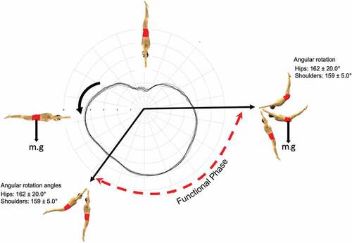 Figure 1. Diagrammatic representation of the longswing with the gymnast rotating anti clockwise about the bar. The angular velocity about the circle angle Vicinanza et al. (Citation2018) and angular position of the gymnasts during the functional phases of the shoulder and hip joints from Irwin and Kerwin (Citation2005) are highlighted