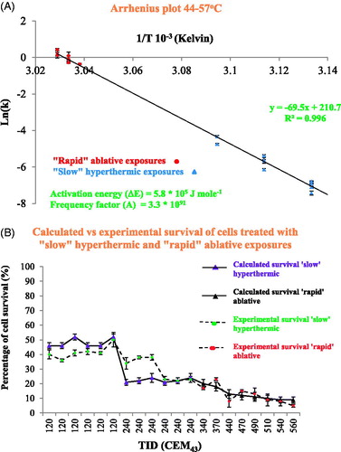 Figure 7. Arrhenius plot of both ‘slow’ hyperthermic and ‘rapid’ ablative exposures for HCT116 and HT29 cells (A). The cell injury rate was calculated for both ‘slow’ hyperthermic exposures shown in figure 5 and the ‘rapid’ ablative treatments in figure 6. A comparison of the experimentally detected cell survival to that calculated using the Arrhenius kinetic parameters ΔE and A, and EquationEquations 3(Equation 3) S= e−k * t(Equation 3) and Equation4(Equation 4) k=A e−ΔE/(Rg * T)(Equation 4) (B) is shown.