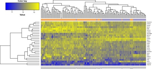 Figure 4 The tree diagram of hierarchical clustering analysis of 27 feature genes for smoker and nonsmoker samples.