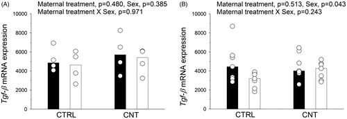 Figure 6. Tgf-β mRNA expression was quantified in (A) spleens from naïve offspring at postnatal day 7 (n = 4), and in (B) lung tissue from the sensitized offspring (n = 7, from Figure 1(B)). Individual and median values of female (black) and male (white) offspring are shown. p-values of the GLM analyses are given above the figures.