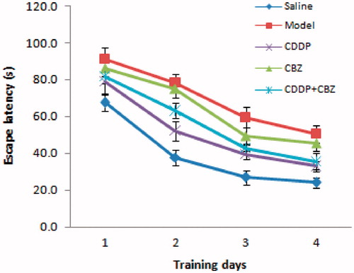 Figure 3. Effect of CDDP and its combination with CBZ on cognitive impairment in the MWM place navigation test. Average escape latencies to find the hidden platform for each trial day are presented as means ± SEM (n = 6 per group).