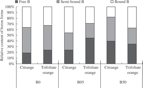Figure 6. Relative content of boron forms of “Newhall” navel orange plants grafted on trifoliate orange and citrange with different boron treatments [B0 (no boron), B05 (control treatment) and B50 (excessive boron)]. Values are means of three replicates.