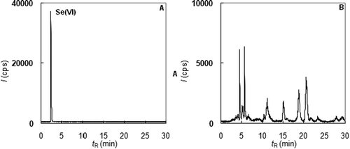 Figure 4. Speciation analysis of selenium in dietary supplements (A – extract of DS 1, B – extract of DS 2).