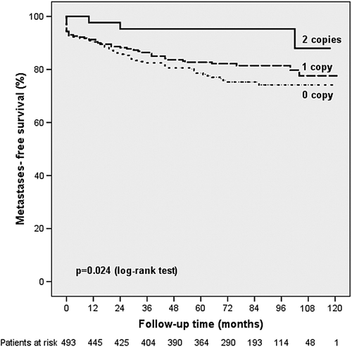 Figure 2. Association of the VEGF-A CCCCC haplotype with the development of distant metastases in postmenopausal patients.