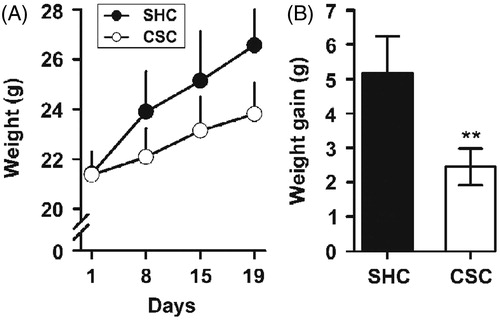 Figure 2. Chronic psychosocial stress effects on body weight gain. (A) The daily defeated group CSC male mice gained significantly less body weight compared to SHC. (B) Chronic stressed mice showed attenuated weight after 19 days CSC. Data represent mean ± SEM. The number of animals per group was 22 SHC and 27 CSC mice. **p < 0.005 versus SHC control mice.