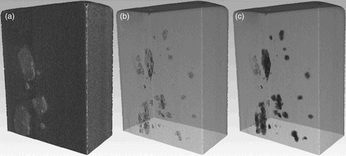 Figure 13. A three-dimensional hydrogen map of a hydrogen-charged ARMCO iron sample taken by neutron radiography [Citation38]. (a) Surface region with blisters. (b) Crack distribution inside the sample. (c) Hydrogen distribution. ‘Reproduced with permission from Acta Mater., 78, 14 (2014). Copyright 2014, Elsevier’.