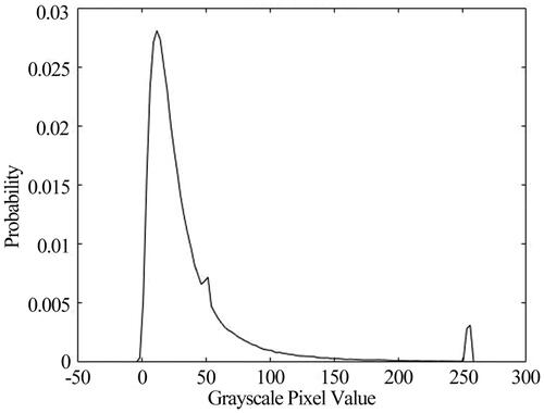 Figure 1. Grayscale image probability diagram.
