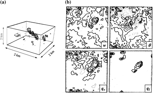 Fig. 3. Illustration of one of the first LES of shallow cumulus clouds: (a) 3D view of the cumulus simulation after 4 h of simulation. The domain is a 2 × 2 × 2 km3 cube and the grid size is 50 m in all three directions, (b) horizontal cross-sections at 775 m of the vertical velocity (w), potential temperature (θ), specific humidity (qv) and liquid mixing ratio (ql), with interval between isolines of, respectively, 0.61 m s−1, 0.92 K, 0.42 g kg−1 and 0.091 g kg−1 – these cross-sections highlight the strong correlations among those variables – adapted from Sommeria (Citation1976), ©Copyright 1976 AMS.