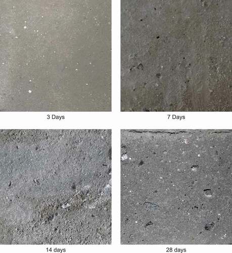 Figure 7. Change in appearance of C2F2B concrete after immersion in 3% sulphuric acid solutions