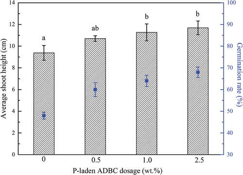 Figure 5. Effect of P-laden ADBC dosage on average shoot height and germination rate of wheat during early growth.